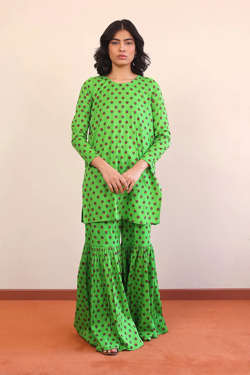 Afghani Gharara 2-Piece