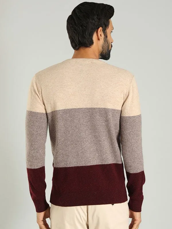 Men Color Block Full Sleeve Crew Neck Sweater