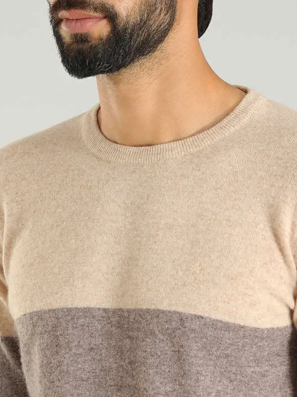 Men Color Block Full Sleeve Crew Neck Sweater