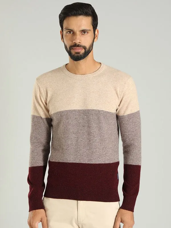 Men Color Block Full Sleeve Crew Neck Sweater